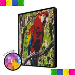Colorful Parrot 3 - 51.2 x 51.2cm