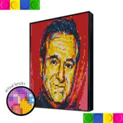 Robin William 51.2 x 51.2cm